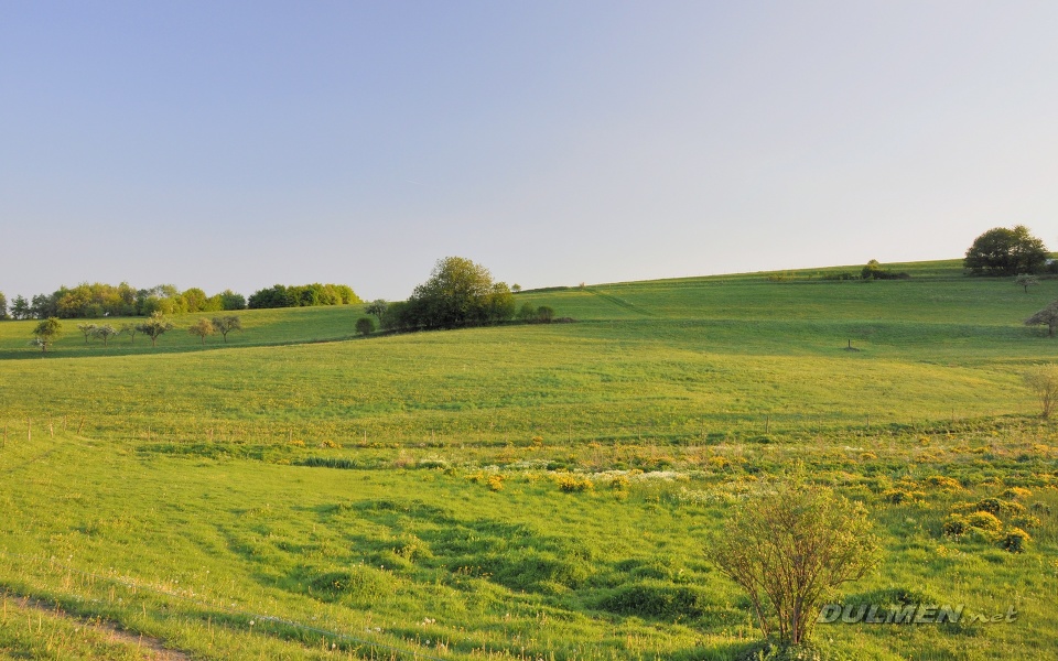 Evening sun over undulating meadows